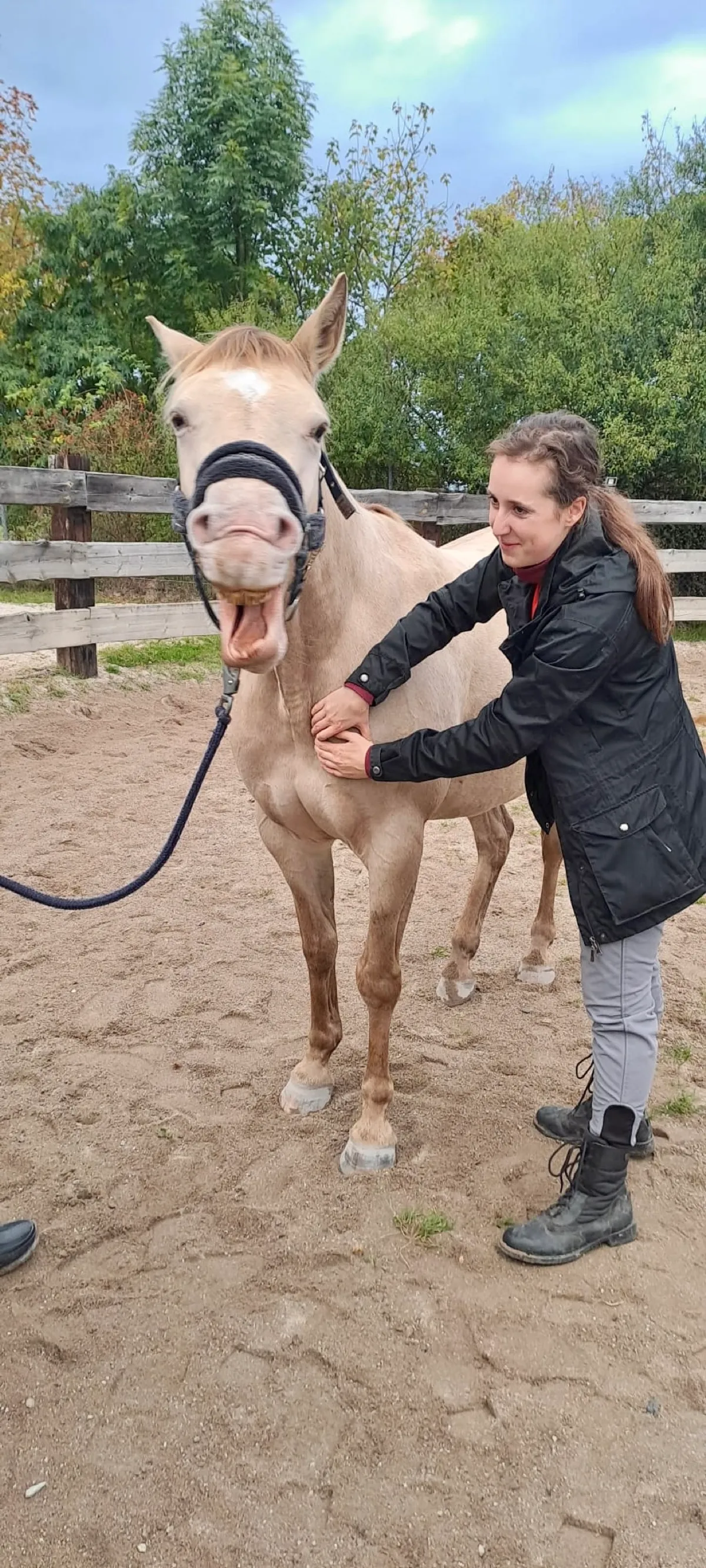 Plavé hříbě s otevřenou tlamou a Johana s rukou na jeho hřbetě ve venkovní ohradě